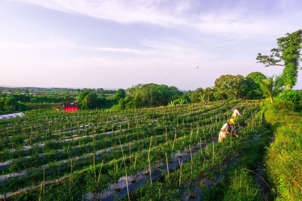 Environmental sustainability